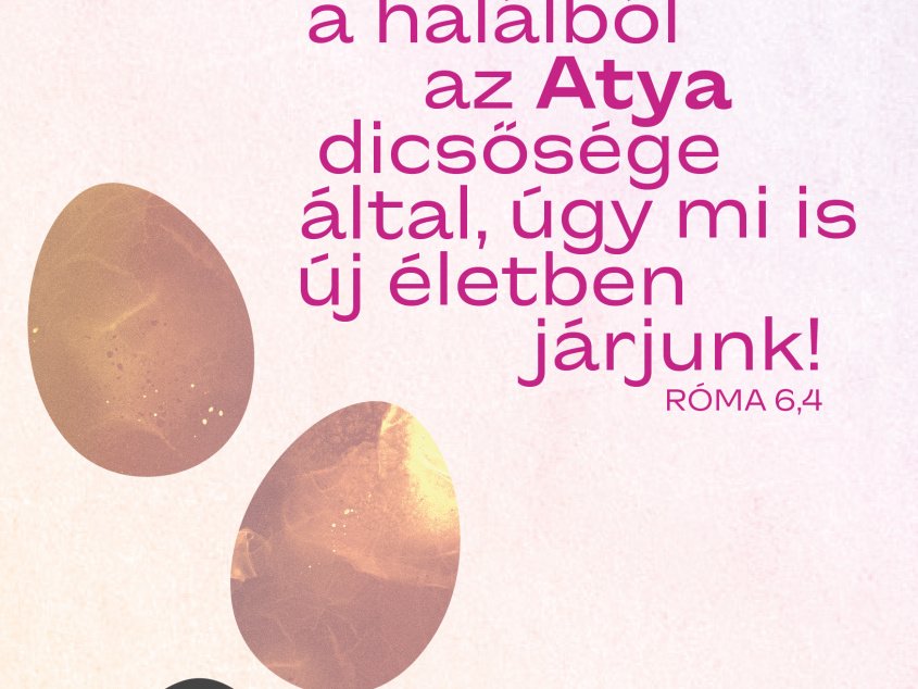 Áldott húsvéti ünnepet kívánunk!