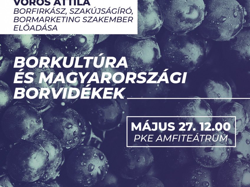 Borkultúra és magyarországi borvidékek