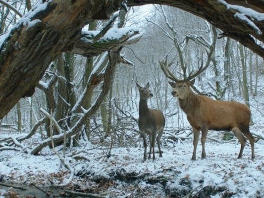 Oscar-díjra jelölt film a PKE-n